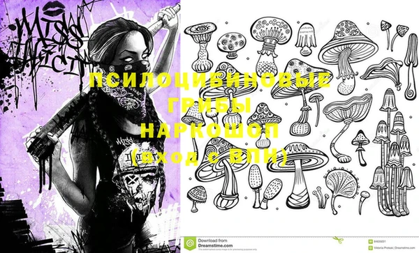 спайс Алексеевка