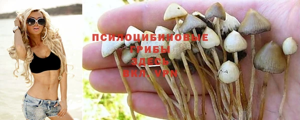 МДПВ Осинники